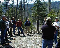 Tahoe Basin Forest Health Consensus Group