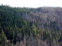 STBC field trip to Megram Fire
