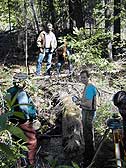 Canopy cover workshop